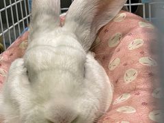 -雨林宠物医院 非犬猫异宠专科