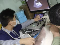 -达爱动物医院·犬猫分区·CT·复杂眼科(远洋山水分院)