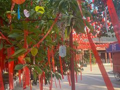 -祥源·阜阳生态乐园