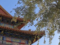 -故宫博物院(故宫)