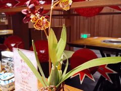 -蟹将军·松叶蟹和牛日料放题自助(K11店)