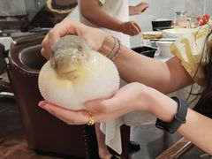 -肆月河豚·新淮扬(金融街店)