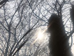 -汉景帝阳陵博物院