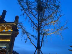 -观唐（国际）度假村温泉