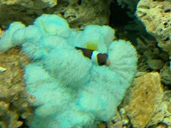 -泉州海丝野生动物世界