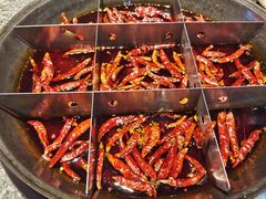 -大虎重庆老火锅(正弘城店)