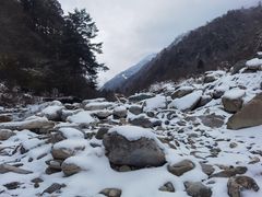 -卧龙自然保护区