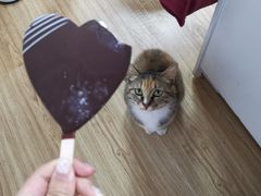 -DQ·蛋糕·冰淇淋(嘉兴南湖万达店)