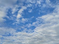 -东怡大酒店(上海科技馆店)