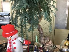 -嘉定凯悦·咖啡厅