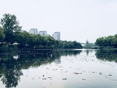 -新江湾城公园