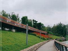 -府河摄影公园