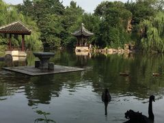-水绘园