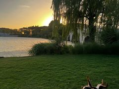 -艾贝尔宠物医院 ·内科全科(梁溪路店)