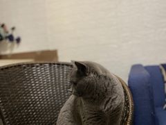 -吱咖啡西式简餐