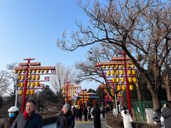 -青龙湖公园