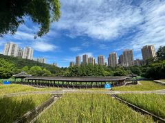 -龙头寺公园