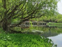 -贵阳市花溪国家城市湿地公园