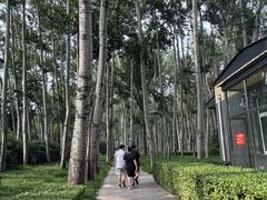 -仁和公园(顺义区)