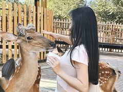 -水上乐园·欢乐世界