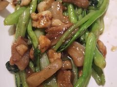 生炒广东菜心-大树餐厅(红旗街万达店)