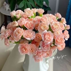 -小梨·OndaPro·专业脱毛连锁机构