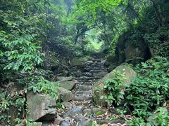-东明山森林公园