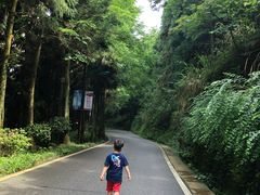 -大围山国家森林公园