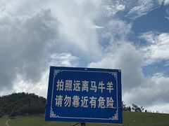 -关山草原