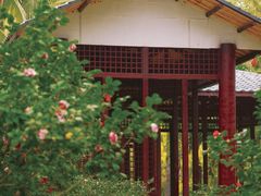 -深圳国际园林花卉博览园