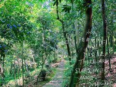 -上海佘山国家森林公园天马山园