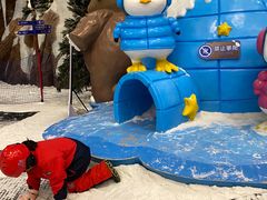 -长沙湘江冰雪世界