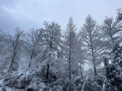 -安吉龙王山风景区