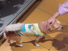 -MARSMART PETS火星宠物超市(1733店)