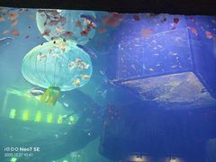 -华夏文旅海洋公园