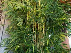 -湘当爱·鲜煮现炒(松岗立业路店)