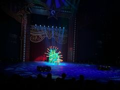 -珠海横琴长隆《卡卡虎奇遇记》