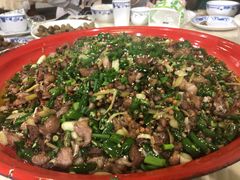 -东吴霸王兔(松青路店)