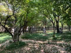 -西安市长乐公园