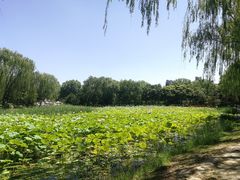 -东升八家郊野公园