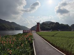 -广州市石门国家森林公园