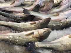 -海峡水产品交易中心(海鲜交易区)