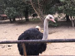 -南昌动物园