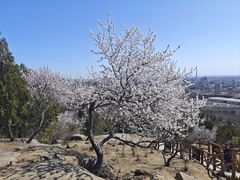 -白水寺森林公园