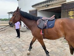 -松声马术俱乐部