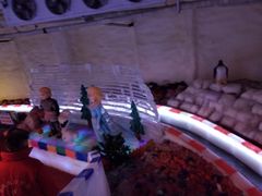 -白鹿仓冰雪海洋世界