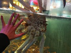 -蟹之国·精品蟹料理(极地店)