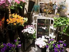 -之悦咖啡馆(新星宇·之洲店)