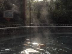 -庐山天沐温泉度假村