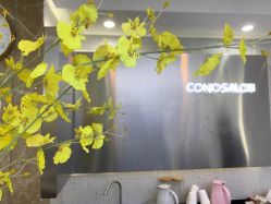 -COMO SALON 烫染可茉发型